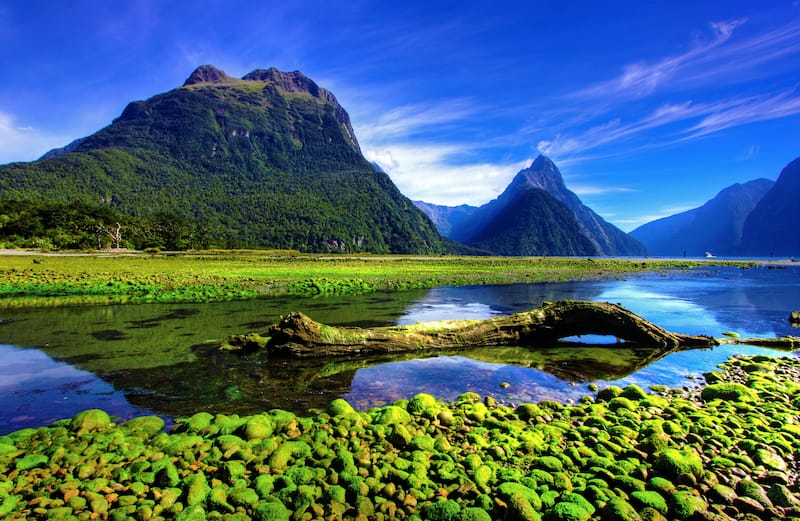 16 New Zealand Tour & Travel Packages Starting ₹66,990 in 2024, get